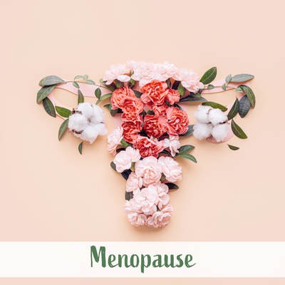 What is the Menopause?