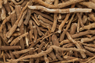 Ashwagandha Ancient Remedy for Cognitive Health