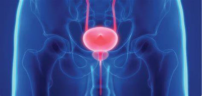 Support Your Prostate Naturally: Real Food, Real Solution