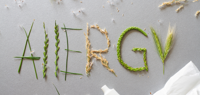 A.Vogel Talks Hayfever