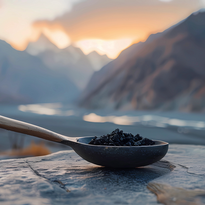 Unlocking the Power of Himalayan Shilajit: Nature's Ultimate Wellness Powerhouse