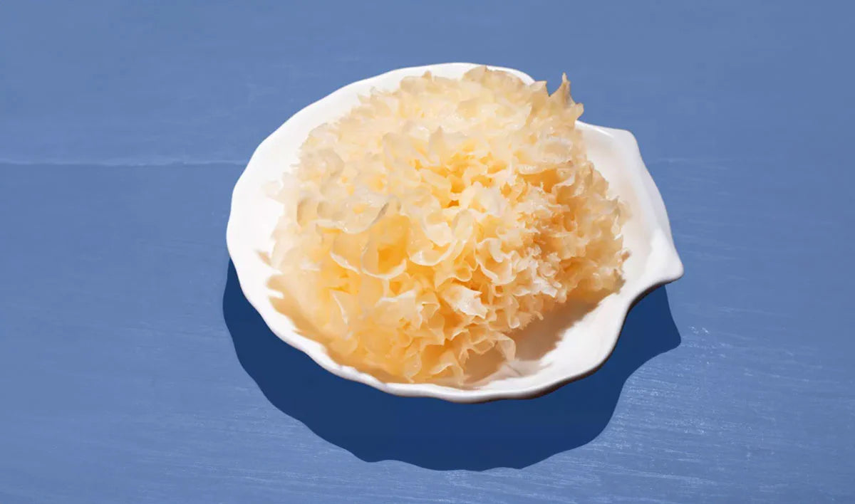 What is Tremella (Snow Fungus)? – Elixir Health & Wellbeing