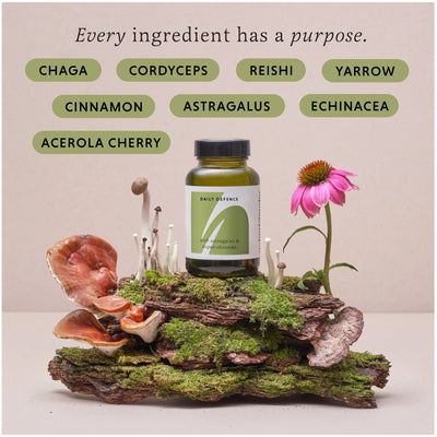 Supplement bottle on a natural background with mushrooms and a flower, labeled with health benefits.