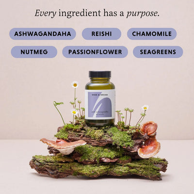 Vitamins bottle on a natural background with herbs and plants, labeled 'Every ingredient has a purpose'.