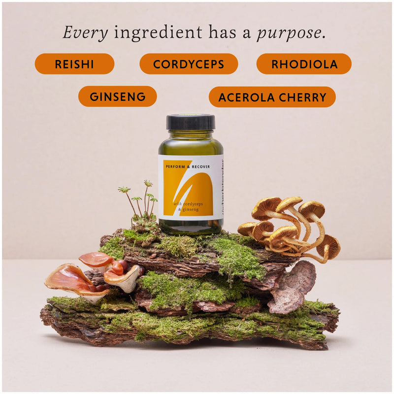 the herbtender - Perform & Recover 60 Capsules