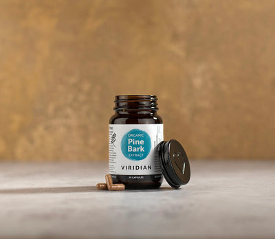 A bottle of viridian pine bark extract capsules 