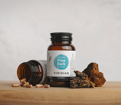 A bottle of viridian pine bark extract on a wooden surface with pine bark and capsules