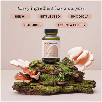 the herbtender - Uplift & Revitalise 60 Capsules