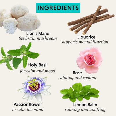 Herbal ingredients with their names and benefits on a white background