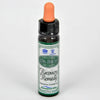 Ainsworth Bach Flower Recovery Remedy 10ml
