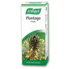 A Vogel Plantago Tincture Drops 50ml