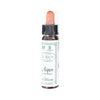 Ainsworth Aspen Bach Flower Remedy 10ml