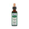 Ainsworth Bach Flower Recovery Remedy 10ml