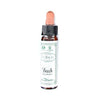 Ainsworth Beech Bach Flower Remedy 10ml