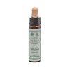 Ainsworth Walnut Bach Flower Remedy 10ml