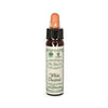 Ainsworth White Chestnut Bach Flower Remedy 10ml