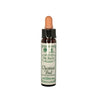 Ainsworth Red Chestnut Bach Flower Remedy
